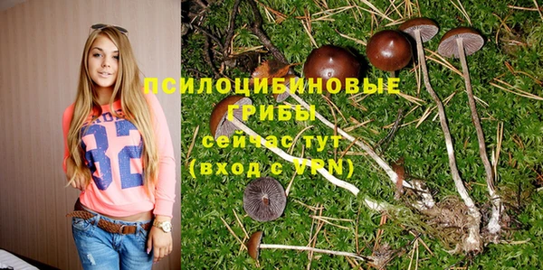твердый Алексеевка