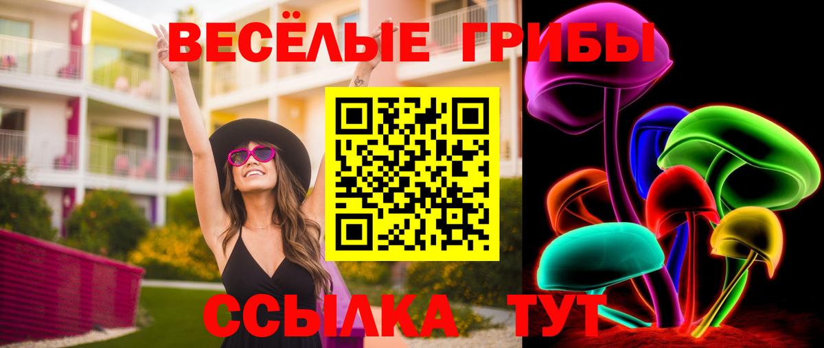 Строитель  купить наркотик  Вход с VPN  Псилоцибиновые грибы мицелий 
