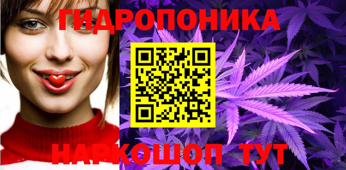Строитель  Марихуана OG Kush  Канабис сатива  Вход с VPN 